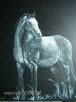 /album/galerie-photos/paddy-de-kergroix-jpg1/